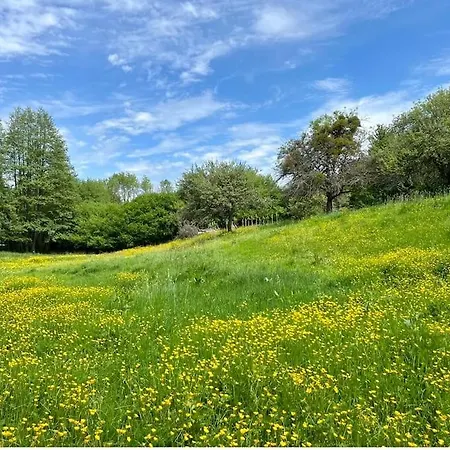 Feriehus Belle Maison De Famille Perche Avec Piscine *