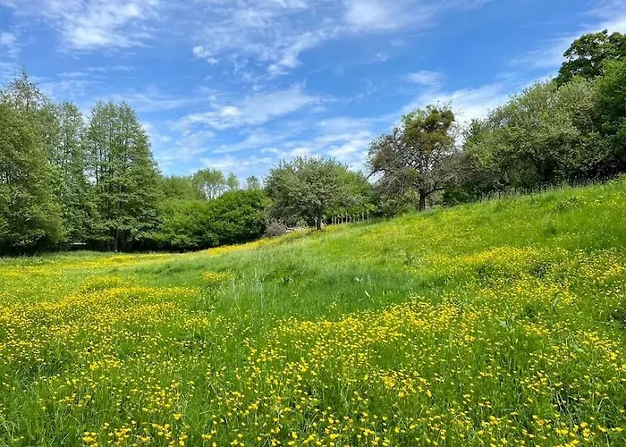 Prázdninový dům Belle Maison De Famille Perche Avec Piscine *
